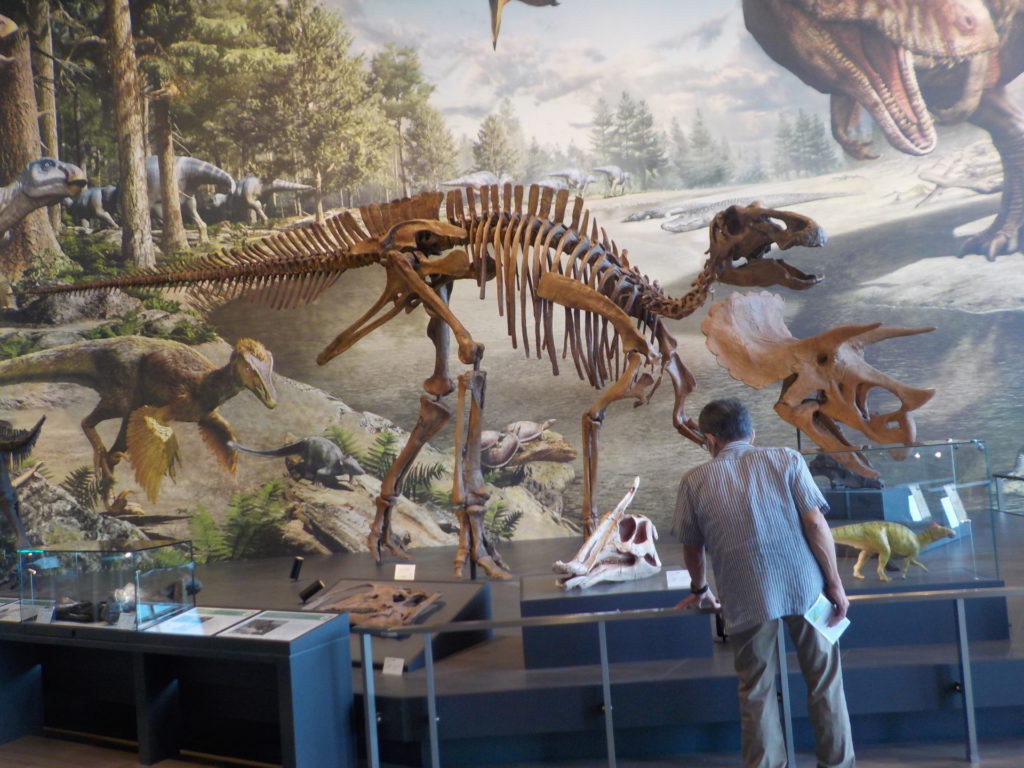 長崎　道ノ尾病院　精神科　デイケア　恐竜博物館