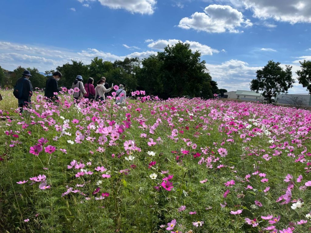 長崎　道ノ尾病院　精神科　デイケア　秋桜　あぐりの丘
