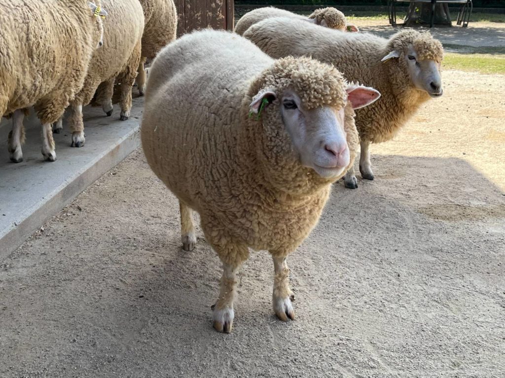 長崎　道ノ尾病院　精神科　デイケア　　あぐりの丘