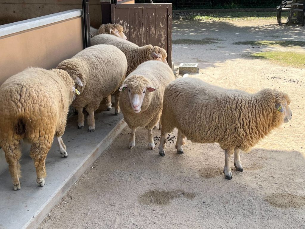 長崎　道ノ尾病院　精神科　デイケア　　あぐりの丘