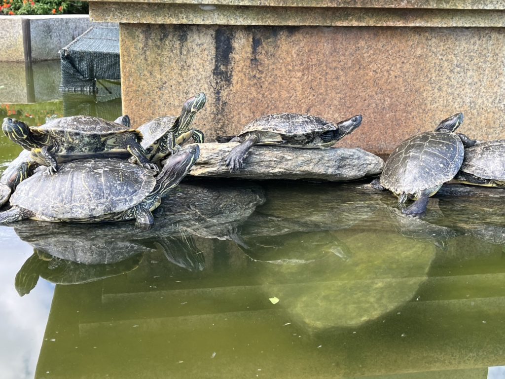 長崎　道ノ尾病院　精神科　デイケア　　あぐりの丘