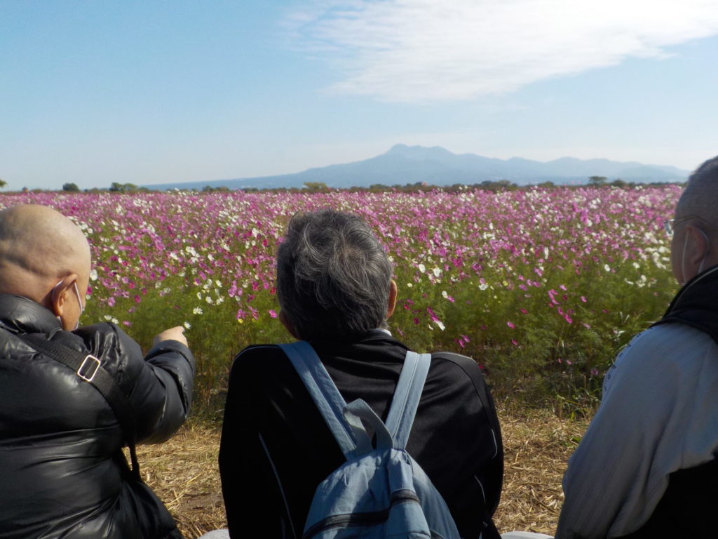 長崎　道ノ尾病院　精神科　デイケアARP　えんじょい☆たいむ　干陸地フラワーゾーン　秋桜
