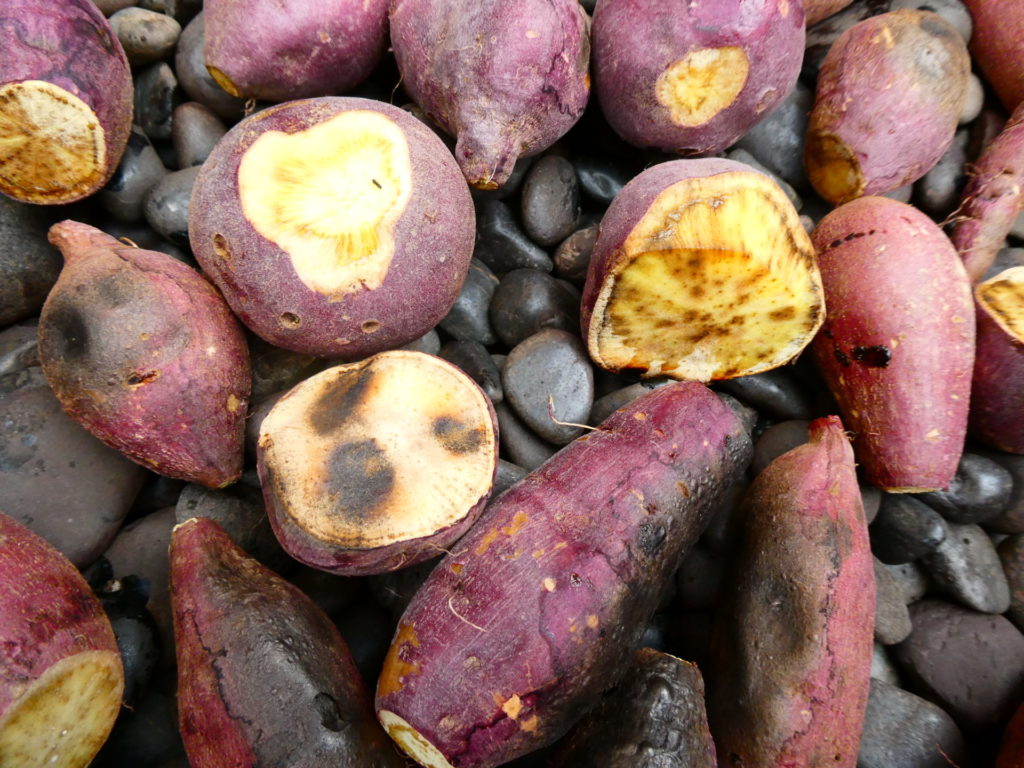 長崎　精神科　デイケア　道ノ尾病院　焼き芋