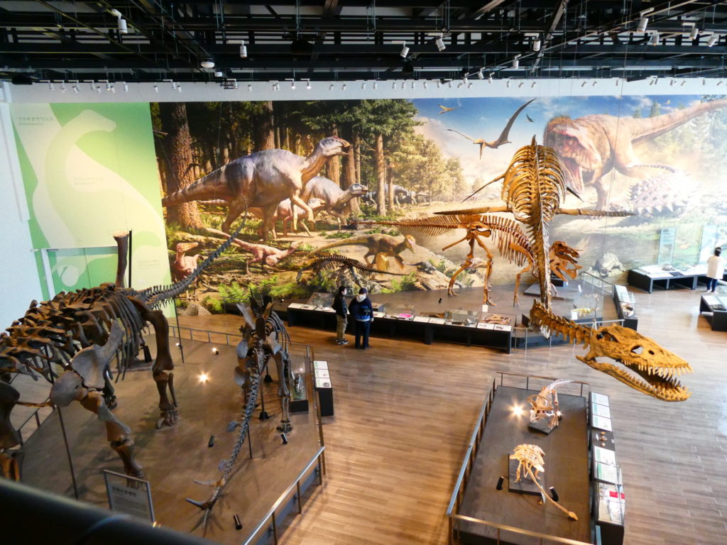 長崎　精神科　デイケア　長崎　道ノ尾　院外レクリェーション　恐竜博物館