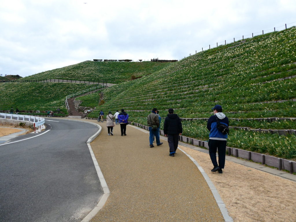 長崎　精神科　デイケア　長崎　道ノ尾　院外レクリェーション　水仙　のもざき　野母崎