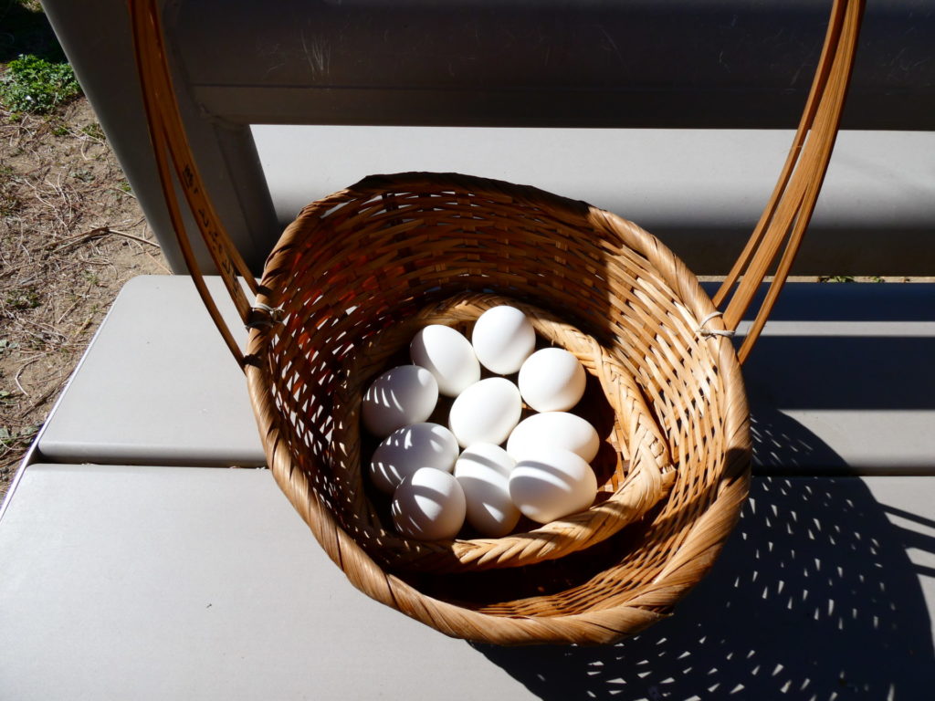 長崎 精神科 デイケア 道ノ尾病院 アルコール 回復 治療 足湯 雲仙 小浜 温泉卵 釜