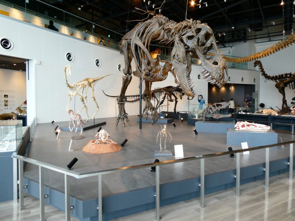 長崎　精神科　デイケア　長崎　道ノ尾　院外レクリェーション　恐竜博物館