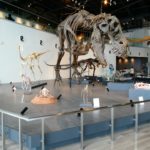 長崎　精神科　デイケア　長崎　道ノ尾　院外レクリェーション