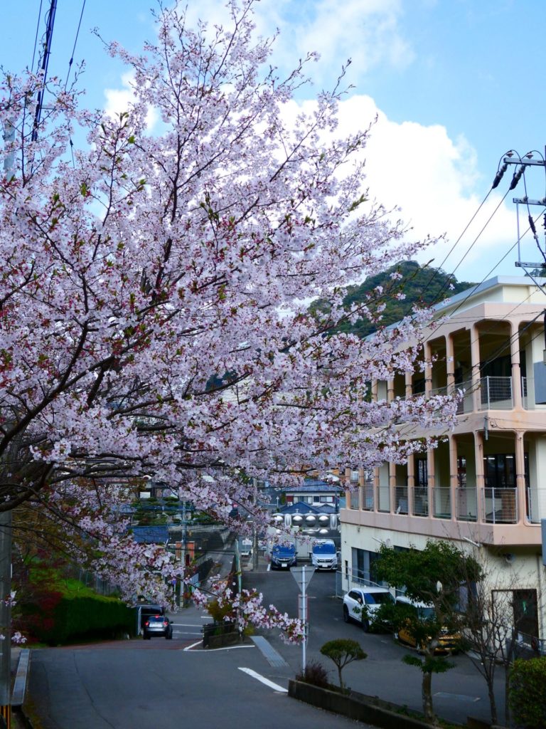 長崎 道ノ尾病院 精神科 デイケア 桜 お花見 名所 ウォーキング 坂
