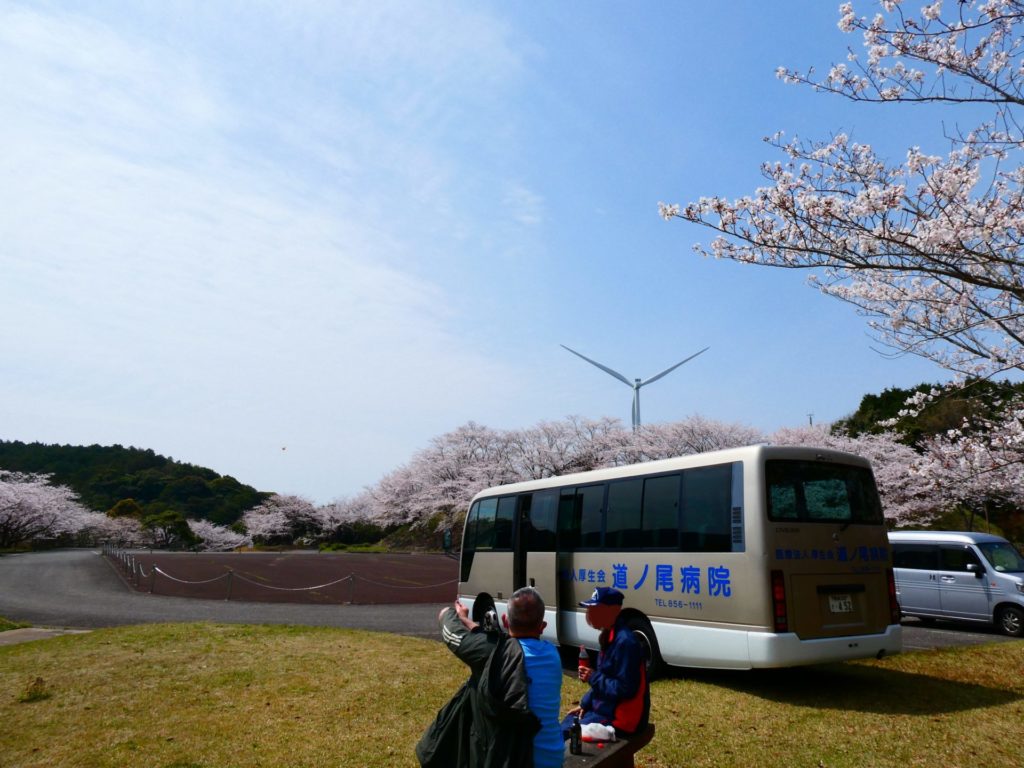 長崎 精神科 デイケア 道ノ尾病院 アルコール 飲酒 断酒 節酒 アルコール使用障害 AUD 花見 桜 レクリェーション 治療 伊佐ノ浦公園