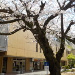 長崎　精神科　道ノ尾病院　さくら棟