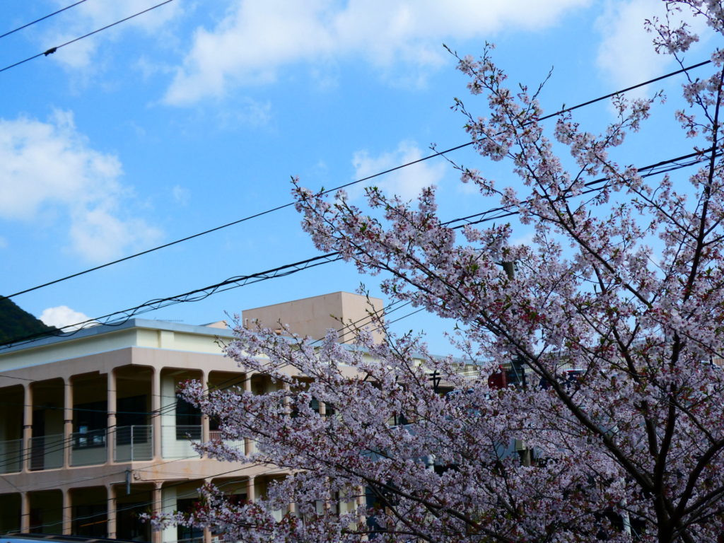 長崎 道ノ尾病院 精神科 デイケア 桜 お花見 名所 ウォーキング