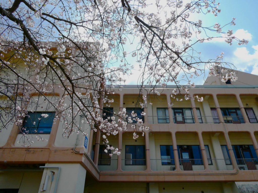長崎 道ノ尾病院 精神科 デイケア 桜 お花見 名所 ウォーキング