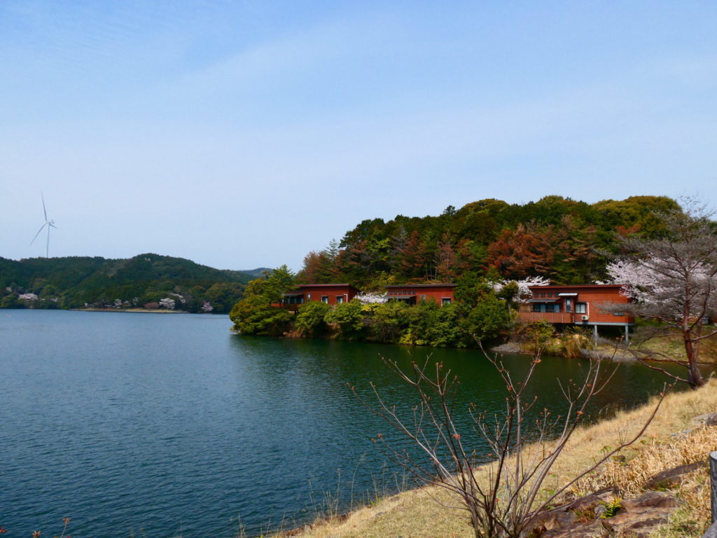 長崎 精神科 デイケア 道ノ尾病院 アルコール 飲酒 断酒 節酒 アルコール使用障害 AUD 花見 桜 レクリェーション 治療 伊佐ノ浦公園